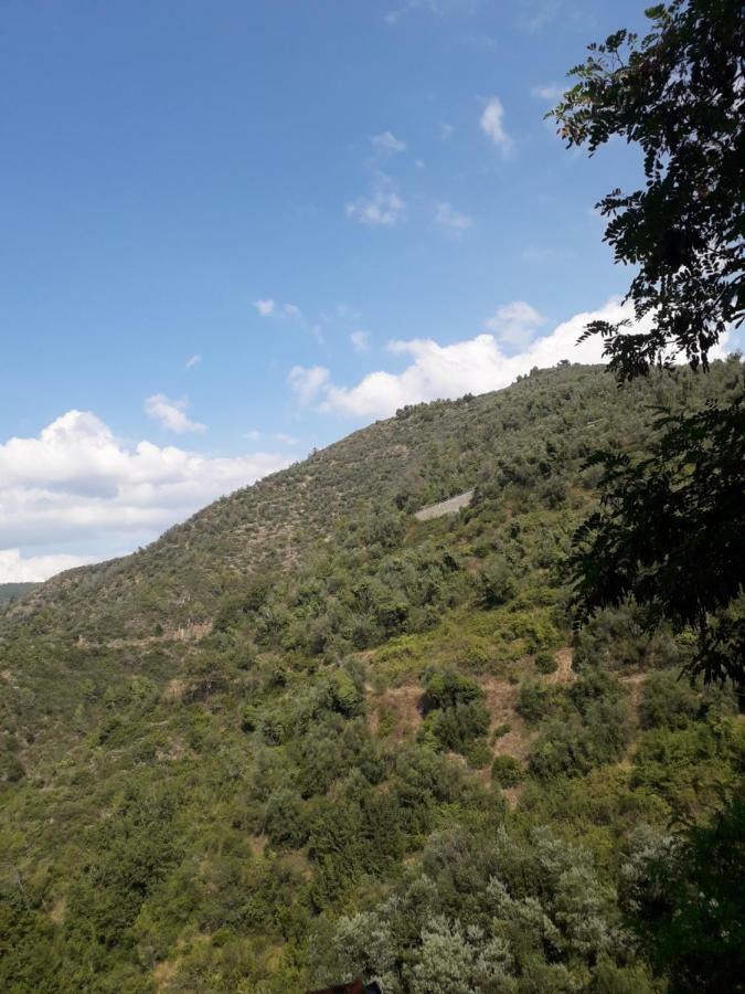 Moki Apricale Villa Luaran gambar